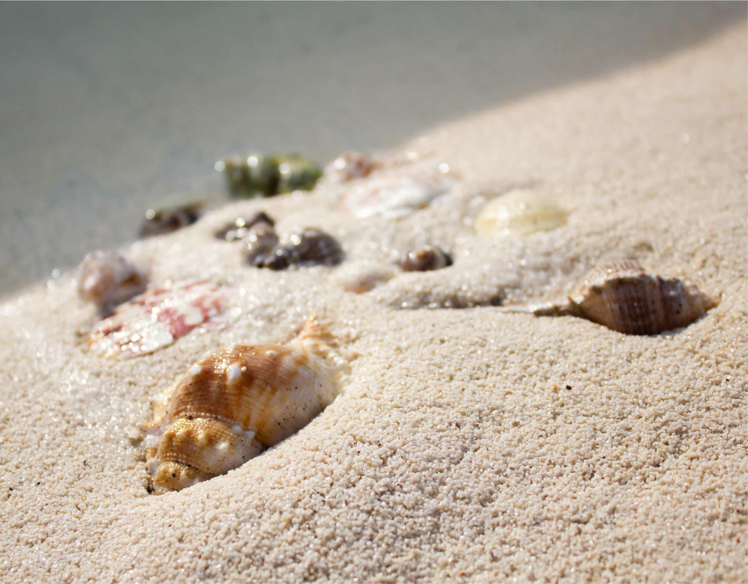 strandpool selbst bauen top layer with decorativ seashells